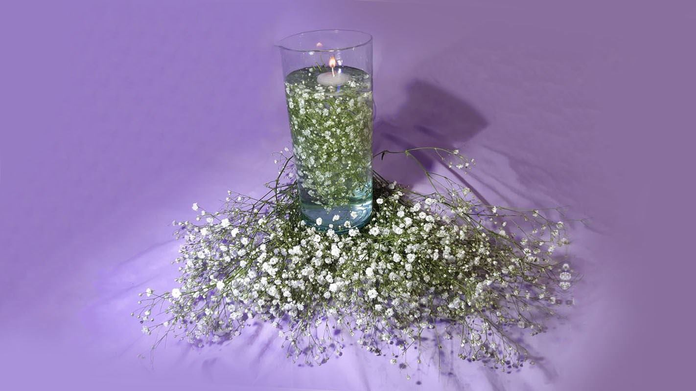 gypsophila ramo